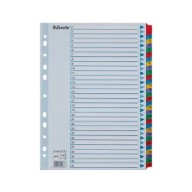   Elválasztólap, A4, regiszteres 1-31 laminált karton fülek 100164 Esselte