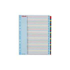   Elválasztólap, A4, Maxi regiszteres 1-31 laminált karton előlap 100210 Esselte