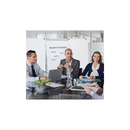 Flipchart tábla mobil 68x105cm, mágneses, 2 db segédkarral, 5 görgős Premium line  F2400/N Franken