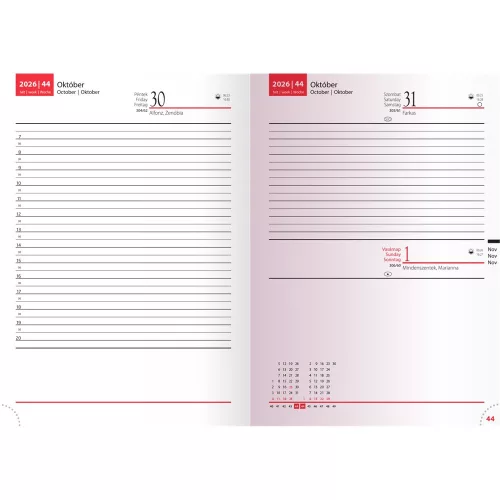 Határidőnapló Lux A/5, napi fehér lapokkal barna Realsystem 2027.