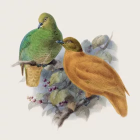   Falinaptár képes lemeznaptár 300x300mm, Birds in Art Realsystem 2027.