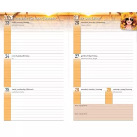   Diák zsebkönyv 125mmx205mm, fehér lapokkal 2026/2027 graffiti Realsystem