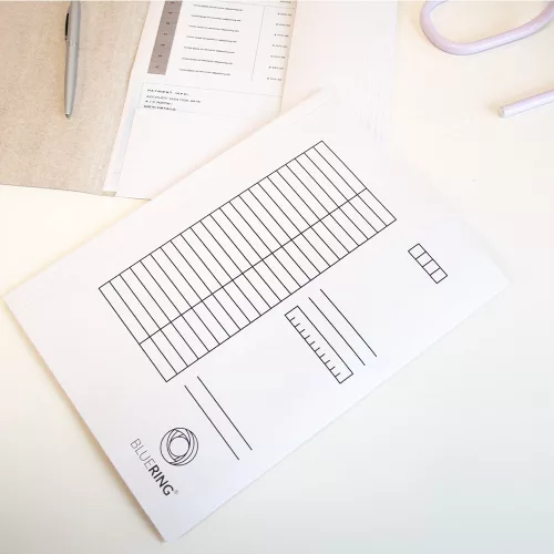 Iratgyűjtő, táblázatos pólyás dosszié A4, 230g. karton Bluering® fehér