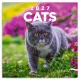 Falinaptár képes lemeznaptár 300x300mm, Cats Realsystem 2027.