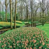 Falinaptár képes lemeznaptár 300x300mm, Gardens Realsystem 2027.
