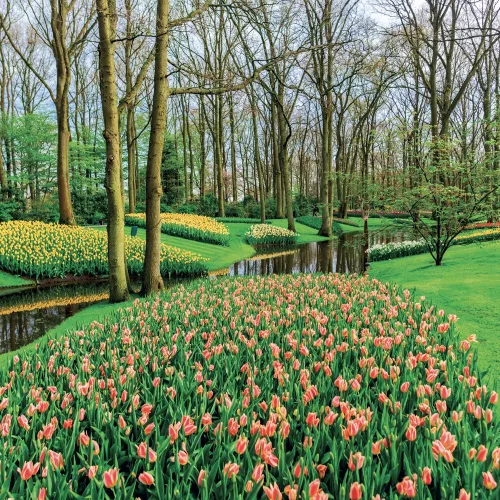 Falinaptár képes lemeznaptár 300x300mm, Gardens Realsystem 2027.