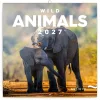Falinaptár képes lemeznaptár 300x300mm, Wild Animals Realsystem 2027.
