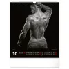 Falinaptár képes  300x340mm Men Realsystem 2027.