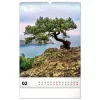 Falinaptár képes  330×460mm Trees  Realsystem 2027.