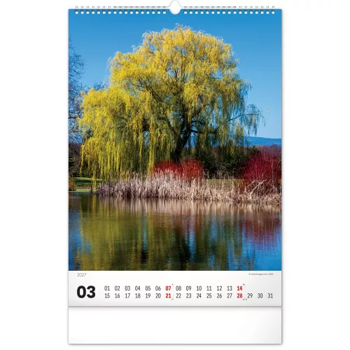 Falinaptár képes  330×460mm Trees  Realsystem 2027.