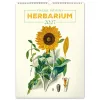 Falinaptár képes  330×460mm Vintage Posters-Herbarium Realsystem 2027.