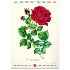   Falinaptár képes  330×460mm Vintage Posters-Herbarium Realsystem 2027.