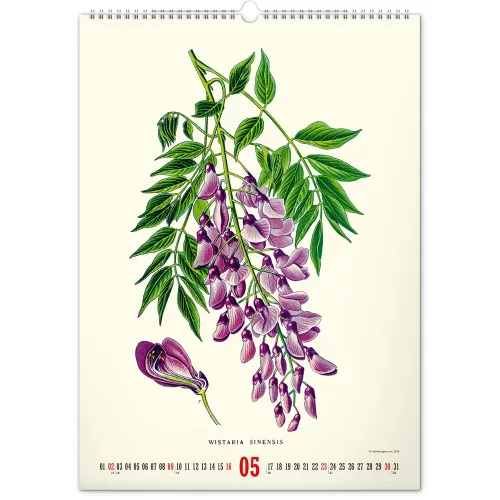 Falinaptár képes  330×460mm Vintage Posters-Herbarium Realsystem 2027.