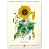 Falinaptár képes  330×460mm Vintage Posters-Herbarium Realsystem 2027.