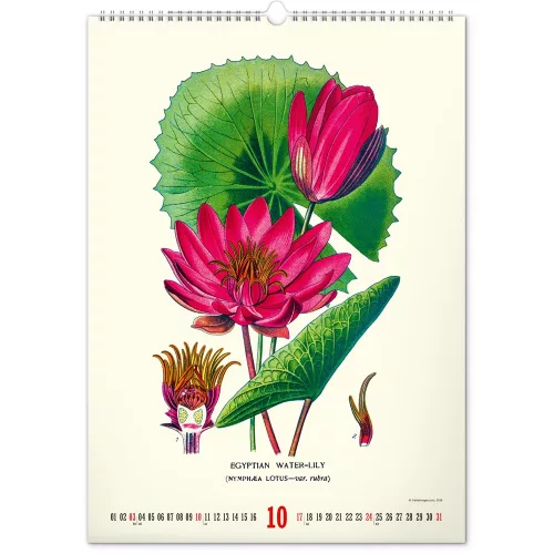 Falinaptár képes  330×460mm Vintage Posters-Herbarium Realsystem 2027.