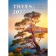 Falinaptár képes 315 x 450 mm, fehér lapokkal Trees Dayliner 2027.