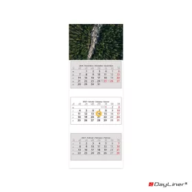   Speditőr naptár 3 tömb, 3 hónap SP-3 330 × 880 mm, fehér lapokkal Erdő Dayliner 2027.