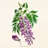 Falinaptár képes lemeznaptár 300x300mm, Herbarium Realsystem 2027.
