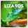 Falinaptár képes lemeznaptár 300x300mm, Lizards Realsystem 2027.