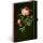 Keménytáblás notesz krémszínű lapokkal, pontozott, leszorító gumiszalaggal Roses 130x210mm, Presco