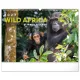 Falinaptár képes  480x330mm Wild Africa Realsystem 2027.