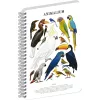 Jegyzetfüzet ikerspirálos Animalium – Birds, sima, 21x29,7cm A4, Presco
