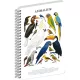 Jegyzetfüzet ikerspirálos Animalium – Birds, sima, 21x29,7cm A4, Presco