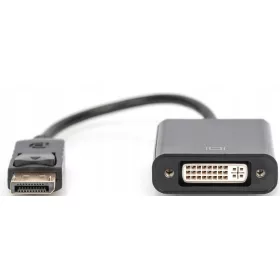 DisplayPort/DVI adapter kábel 20 cm