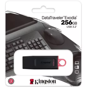 256 GB USB 3.2 pendrive Kingston 