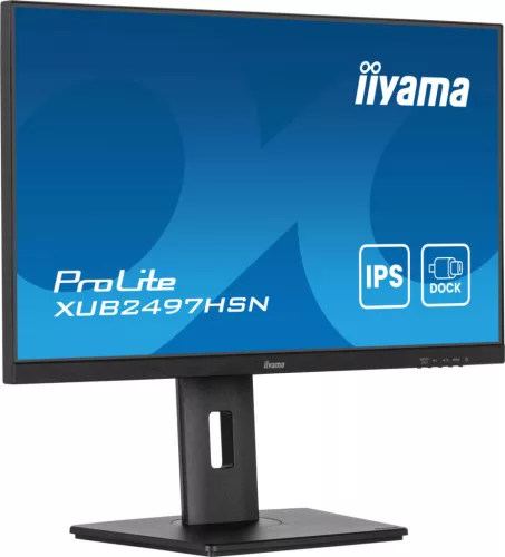 Iiyama Prolite XUB2497HSN-B2 (100 Hz) monitor