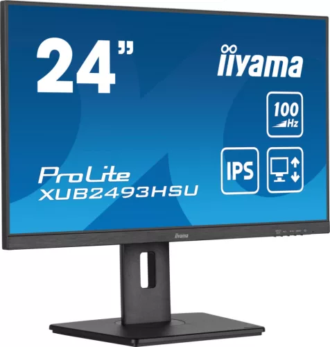 Iiyama Prolite XUB2493HSU-B6 (100 Hz) monitor