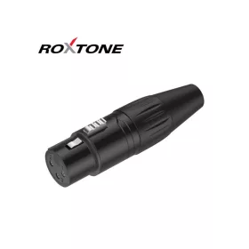 Roxtone RX3FP-BT XLR mama